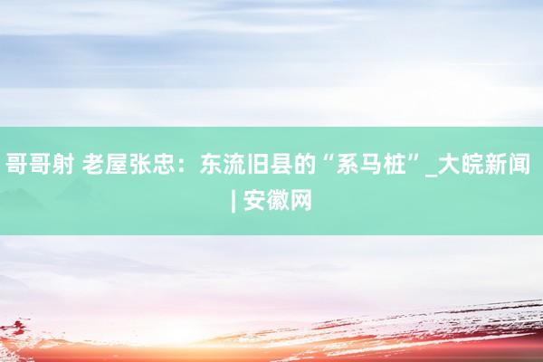 哥哥射 老屋张忠：东流旧县的“系马桩”_大皖新闻 | 安徽网