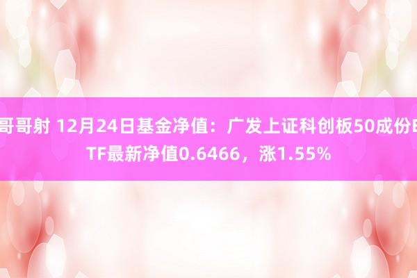 哥哥射 12月24日基金净值：广发上证科创板50成份ETF最新净值0.6466，涨1.55%