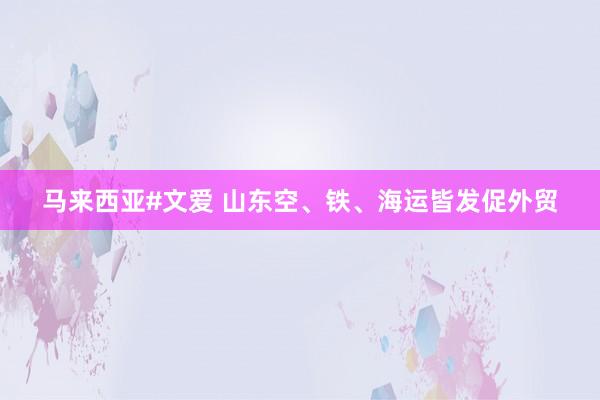 马来西亚#文爱 山东空、铁、海运皆发促外贸