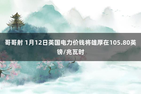 哥哥射 1月12日英国电力价钱将雄厚在105.80英镑/兆瓦时