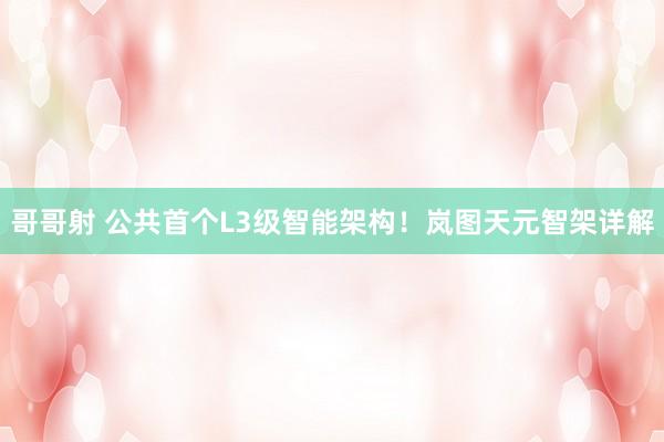 哥哥射 公共首个L3级智能架构！岚图天元智架详解