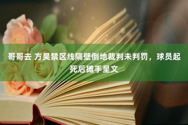 哥哥去 方昊禁区线隔壁倒地裁判未判罚，球员起死后摊手呈文