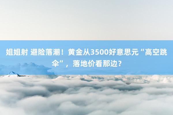 姐姐射 避险落潮！黄金从3500好意思元“高空跳伞”，落地价看那边？